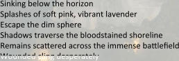 Sinking below the horizon Splashes of soe pink, vibrant lavender  Escape the dim sphere Shadows traverse the bloodstained shoreline Remains scaeered across the immense baeleeeld Wounded cling desperately
