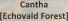 Cantha [Echovald Forest]