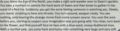As you leave the Eye of the North, you make a right and wander over to Gwen’s garden. You take a moment to admire the hard work of Gwen and then kneel to gather in the scent of a Red Iris. Suddenly, you get the eerie feeling someone is watching you. Slowly, you stand, straining to hear any threats. You turn around, weapon ready. You see nothing, only hearing the strange chime from some unseen source. You scan the area before you, star?ng to suspect your imagina?on was just going wild. You relax, turn back to the flower, and ?nd yourself face-to-face with a blue-eyed, snowy-feathered moa. With a startled yelp, you jump back and bump into something very large and very so?.